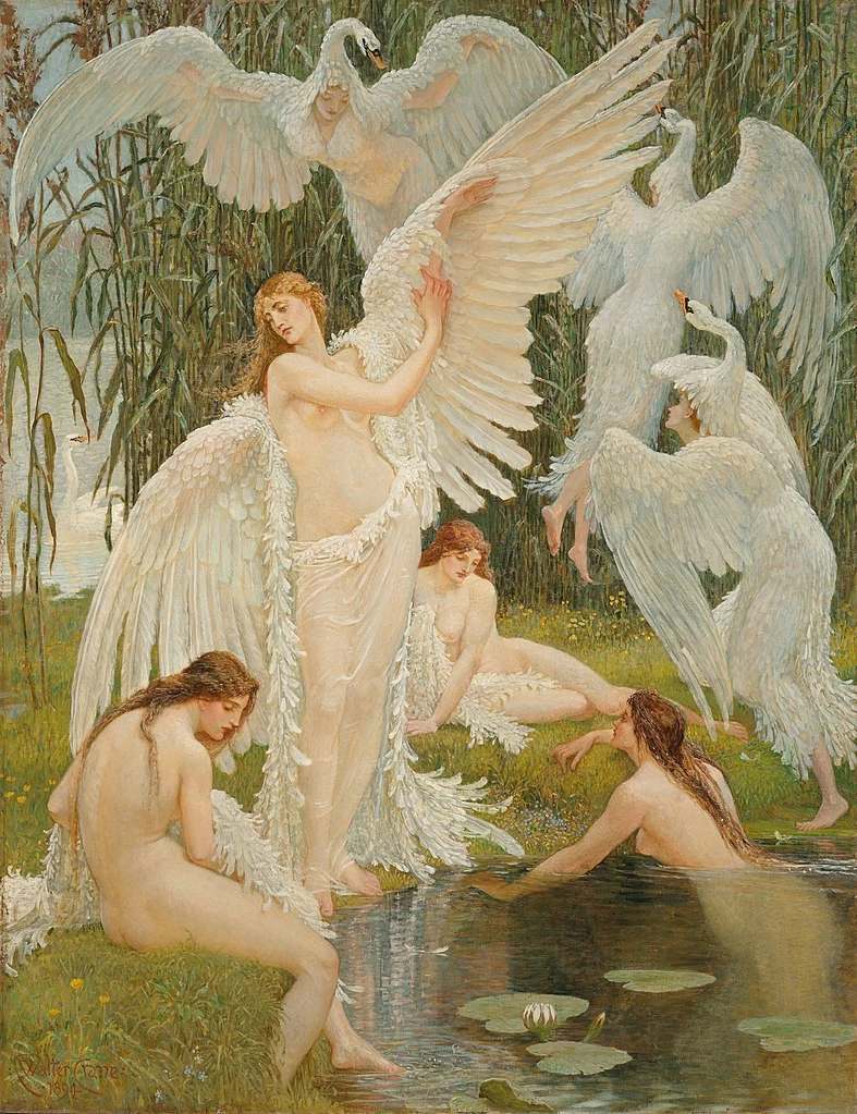 Le fanciulle cigno